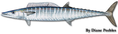wahoo.jpg